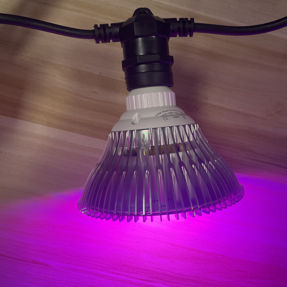 10M Kabel LED, komercyjna jako – Outdoor Lighting Gazebo recenzja i cena